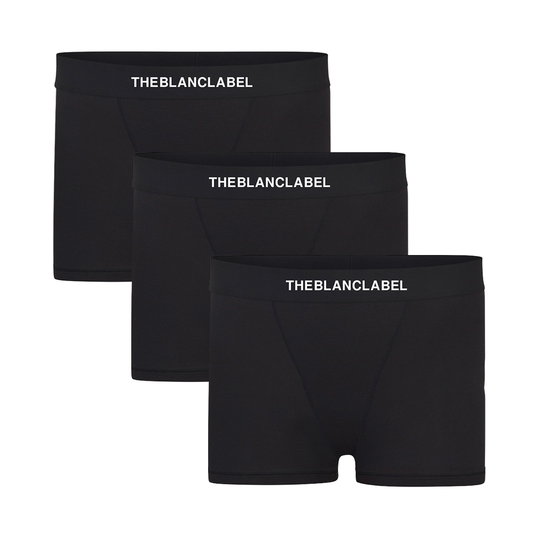 THEBLANCLABEL 輕透平口內褲3件組